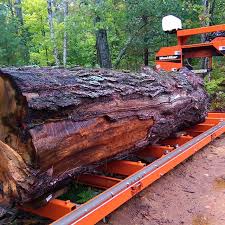 Aserrío Woodmizer LT15 ANCHO - Imagen 7